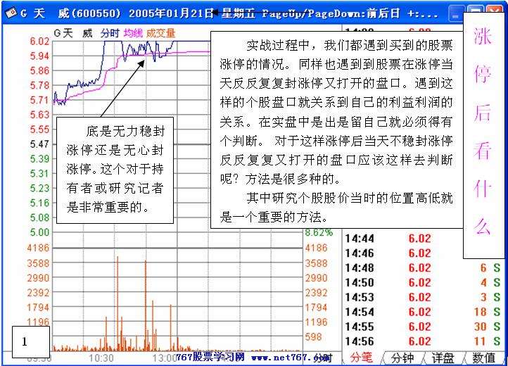 涨停芷后看什么