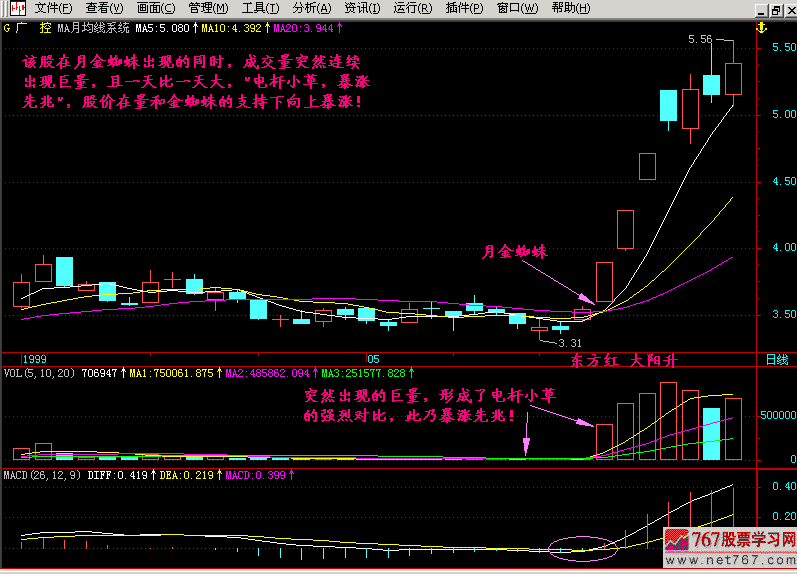 16.金蜘蛛