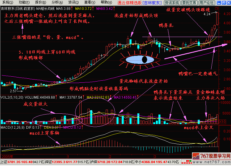 26.老鸭头