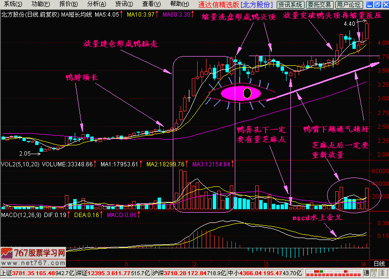 26.老鸭头