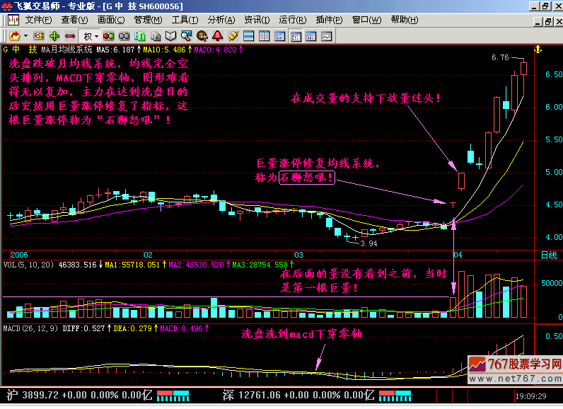 36.石狮怒吼 海鸟飞天