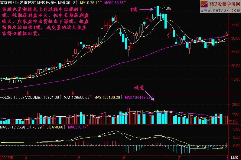 95.单T线头部 新生300天图解教程