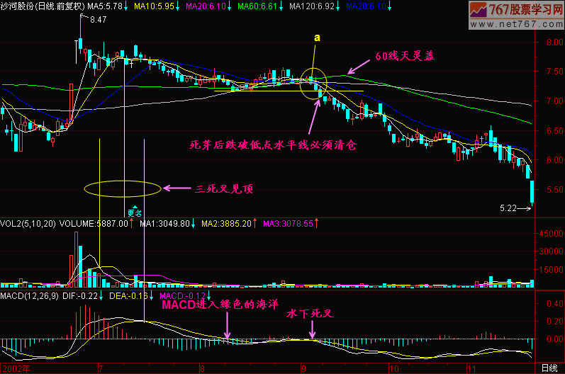 137.死芽芷后暴跌