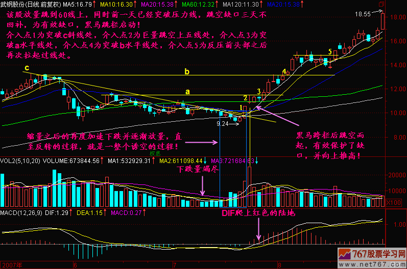 153.黑蚂跳栏