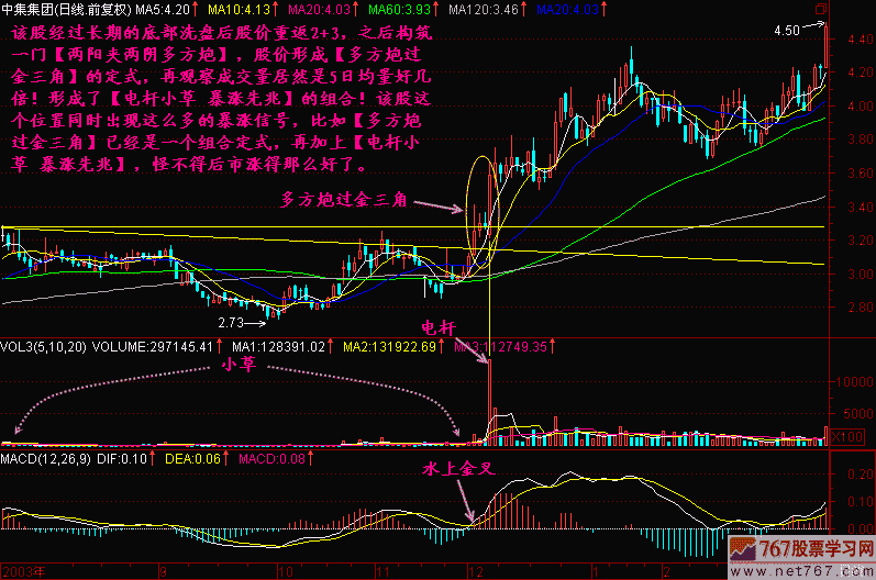 199.电杆小草暴涨先兆