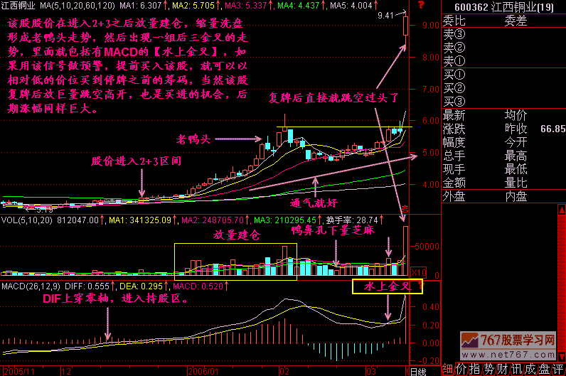 MACD水上金小