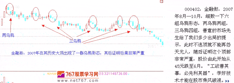 乌鸦形态