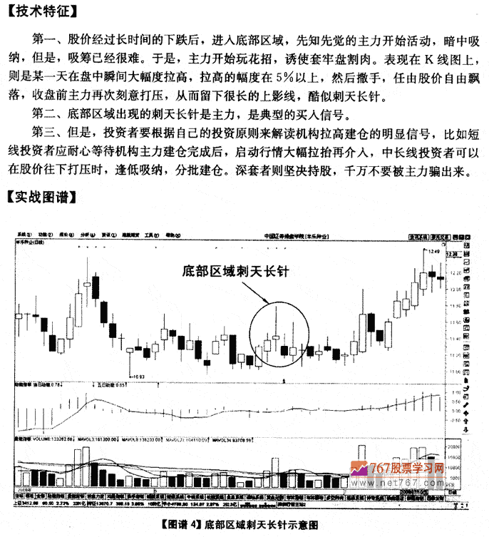 底部刺天长针