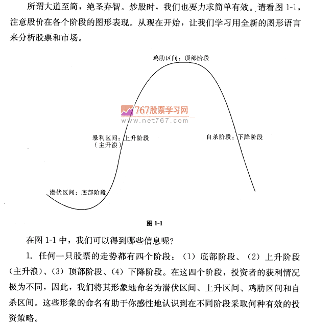 个股行情待遇概貌