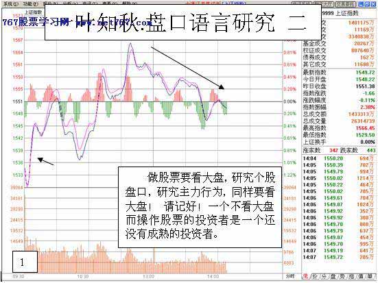 一叶知秋 盘口语言研究2 主力盘口语言图解分析