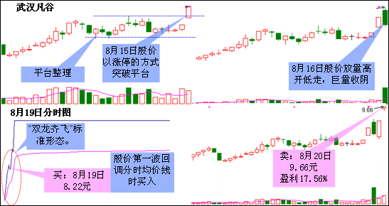 双龙齐飞揭开涨停基因 图解