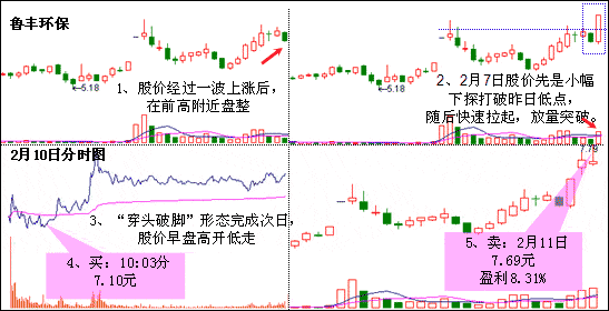 穿头破脚形态