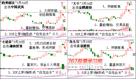 白龙出水形态