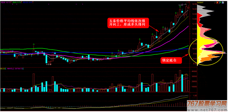 五线顺上黑蚂形态 超级黑蚂形态全攻略