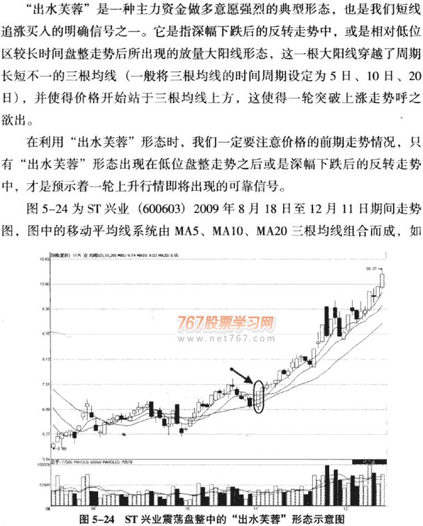 出水芙蓉和断头铡刀