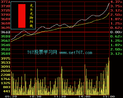 股票k线图入门图解