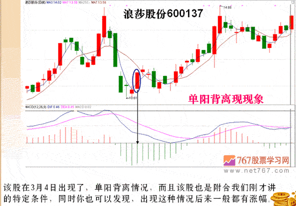 双环科技股票